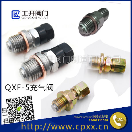 QXF型充氣閥-蓄能器充氣閥-液壓充氣閥-蓄能器用充裝氮氣用單向閥QXF-5