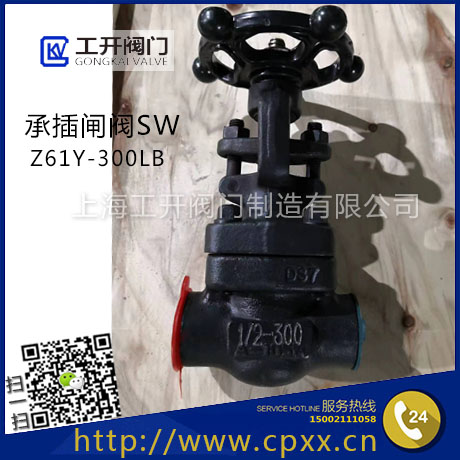 鍛鋼閘閥A105-美標鍛鋼閘閥-承插焊閘閥SW-Z61H/Y