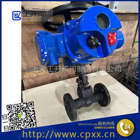 電動鍛鋼閘閥Z941H-600LB-DN25-A105-電動高壓鍛鋼閘閥智能調(diào)節(jié)型